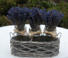 Ve stylu Provence
