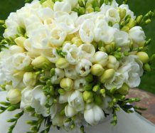 Svatební kytice s bílými fréziemi