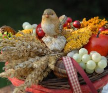 Podzimní košík s ptáčkem