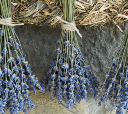 Provence