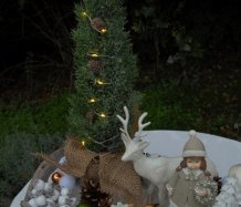 Vánoční dekorace se svítícím stromečkem II.