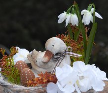Jarní dekorace s kačenkou