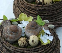 Jarní hnízdo s ptáčky
