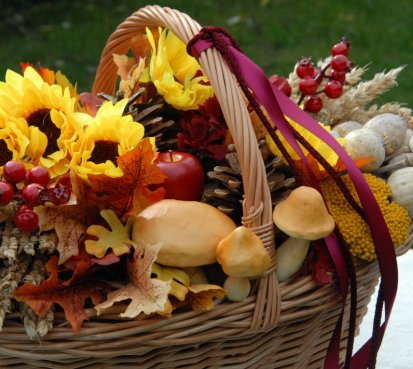 Podzimní koš s houbami