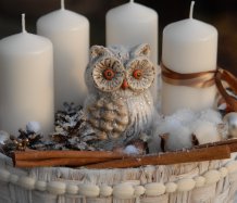 Adventní dekorace s moudrou sovou
