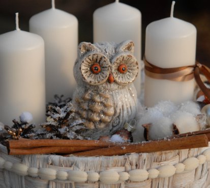 Adventní dekorace s moudrou sovou