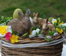 Jarní dekorace se zajíčky