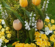 aaJarní dekorace s tulipány - rezervace!