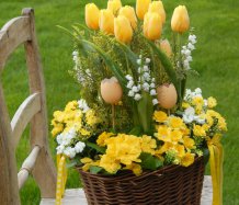 aaJarní dekorace s tulipány - rezervace!