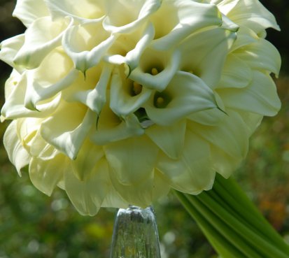 Luxusní svatební kytice s kalami