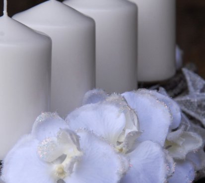 Luxusní vánoční parter s orchidejemi