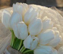 Jarní svatební kytice s tulipány