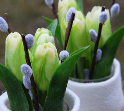 Jarní zachumlané tulipánky