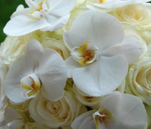 S orchideou Phalaenopsis - svatební kytice