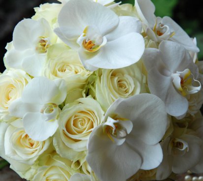 S orchideou Phalaenopsis - svatební kytice