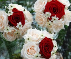 Svatba v Martinickém paláci