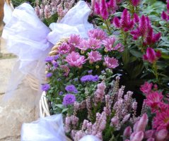 Svatba ve Mlýně Davídkov