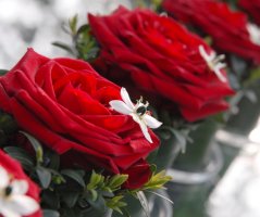 Svatba v Martinickém paláci