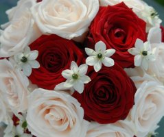 Svatba v Martinickém paláci