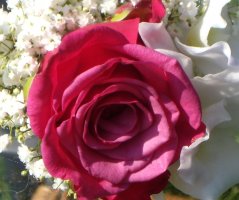 Svatba na farmě Všetice