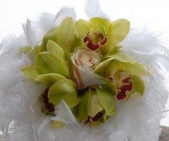 Pohádková zimní svatba