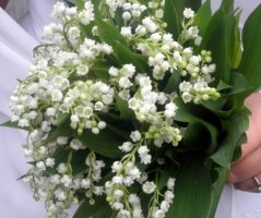 Konvalinková svatba