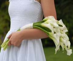 Veletrh 2011 Průhonice