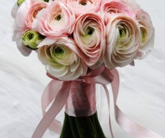 Romantická jarní svatba