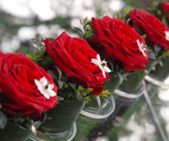 Svatba v Martinickém paláci