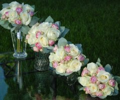 Všude dobře, doma nejlépe