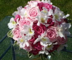 Svatba na farmě Všetice