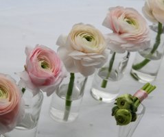 Romantická jarní svatba