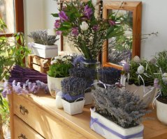 Ostatní dekorace - Mix