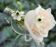 Svatba v Martinickém paláci