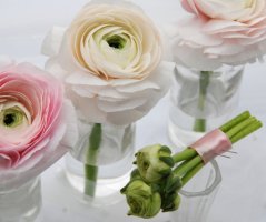 Jarní svatba v růžové