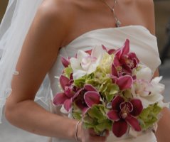 Svatba ve Lvím dvoře