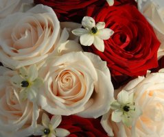 Svatba v Martinickém paláci