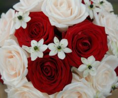 Svatba v Martinickém paláci