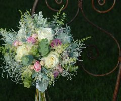 Všude dobře, doma nejlépe