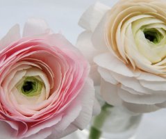 Romantická jarní svatba