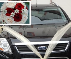 Svatba v Martinickém paláci