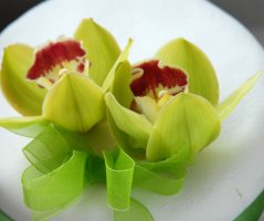 Pohádková zimní svatba