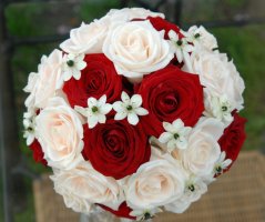 Svatba v Martinickém paláci