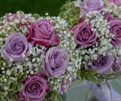 Svatba ve fialových tónech