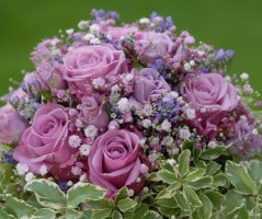 Svatba ve fialových tónech