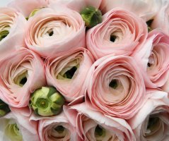 Romantická jarní svatba