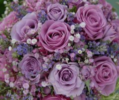 Svatba ve fialových tónech