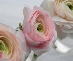 Romantická jarní svatba