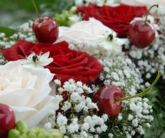 Svatba v Martinickém paláci