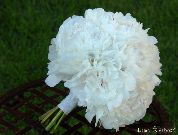 Svatební kytice z bílých pivoněk